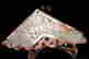 item-130551656=7