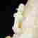 item-130551694=4