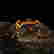 item-130551734=2