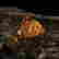 item-130551734=7