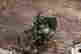 item-130551761=2