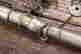 item-130551761=4