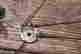 item-130551761=5