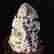 item-130551766=5