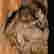 item-130551844=5