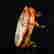 item-130551860=6