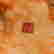 item-130551860=8
