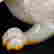 item-130551877=8