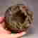 item-130551878=5
