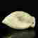 item-130551882=7