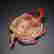 item-130551901=6