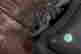 item-130551908=6