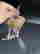 item-130551982=6