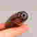 item-130551988=7