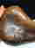 item-130552029=7