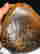 item-130552029=8