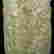 item-130552102=2