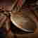 item-130552125=7
