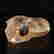 item-130552167=5