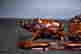 item-130552178=3