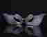 item-130552189=5
