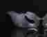item-130552189=9