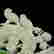 item-130552261=4