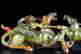 item-130552288=9