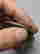 item-130552325=3