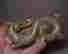 item-130552334=4