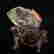 item-130552342=7
