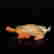 item-130552361=2