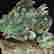 item-132384167=4