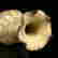 item-133166160=5