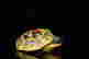 item-133166167=8