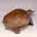 item-133166355=3