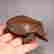 item-133166355=6