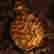 item-133166396=3