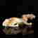 item-133166433=4