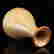 item-133166614=6