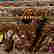 item-133166862=8