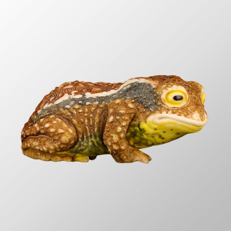 Vivid Bone Carved Frog Statue: Vivid Bone Carved Frog Statue Dimension: 67 x 42 x 24(mm) 2.64 x 1.65 x 0.94(inches) Weight: 0.15 lbs/70 g