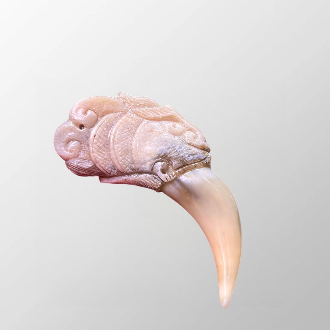 Beautiful Wolf Tooth Pendant: Beautiful Wolf Tooth Pendant Dimension: 93 (mm) 3.66(inches) Weight: 0.07 lbs/ 33 g