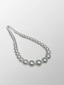 Exquisite Pearl Beads Necklace