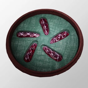 A Set Beautiful Natural Ruby Pea Pod Pendant w Box