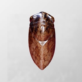 Vintage Chinese Hetian Jade Carved Fortune Cicada Pendant