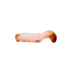 Old Chinese Hetian Jade Carved Locust Pendant
