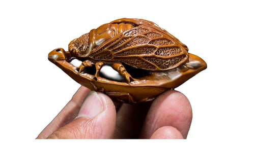 Vintage Olive Nut Carved Fortune Cicada Pendant