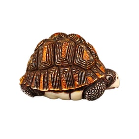 Vivid Bone Carved Long Life Turtle Statue
