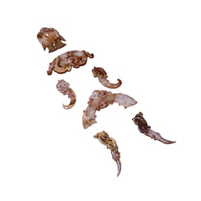 A Set Vintage Chinese Hetian Jade Carved Fortune Beast Jade Bi